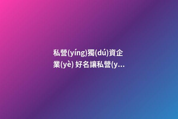 私營(yíng)獨(dú)資企業(yè) 好名讓私營(yíng)企業(yè)騰飛-第1張-公司起名-玄機(jī)派
